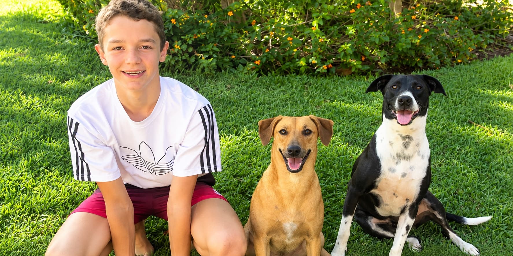 Enfant avec deux chiens sur la pelouse du jardin